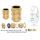 Cable Gland armoured type CW 1